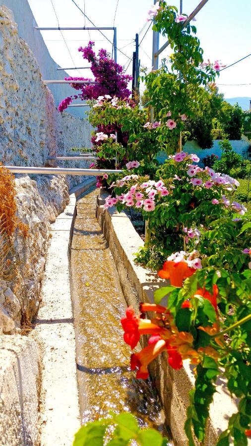 Villa Adelaida Orgiva Bagian luar foto